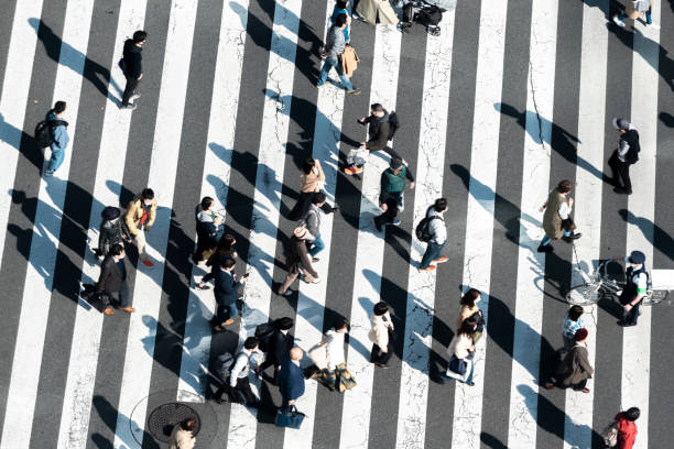 Visa Sponsorship in Japan