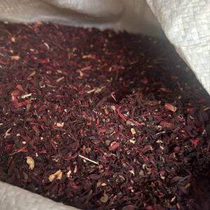 Broken Hibiscus Flower