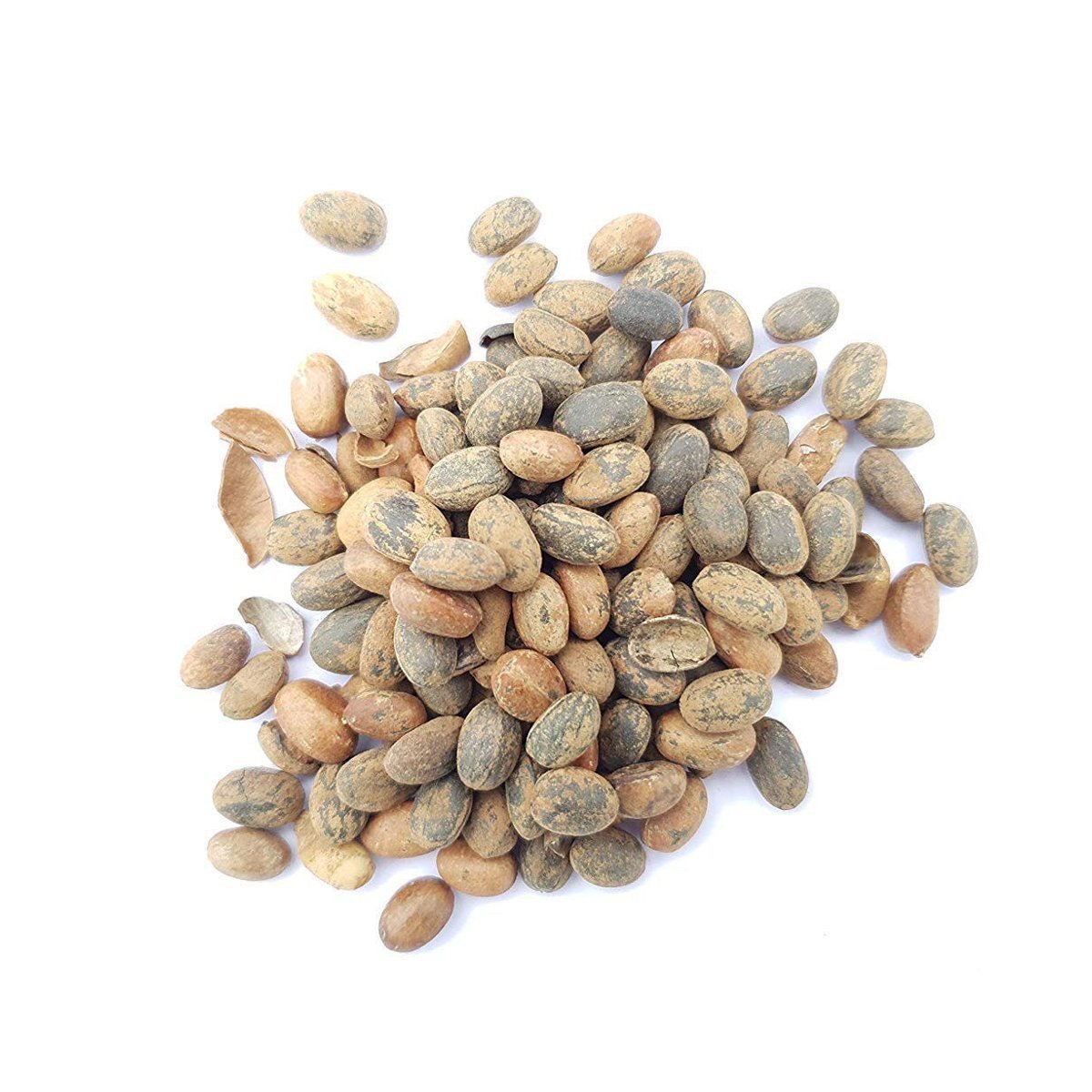 croton_miracle_seed_ecommerce.jpeg Croton (miracle seed)