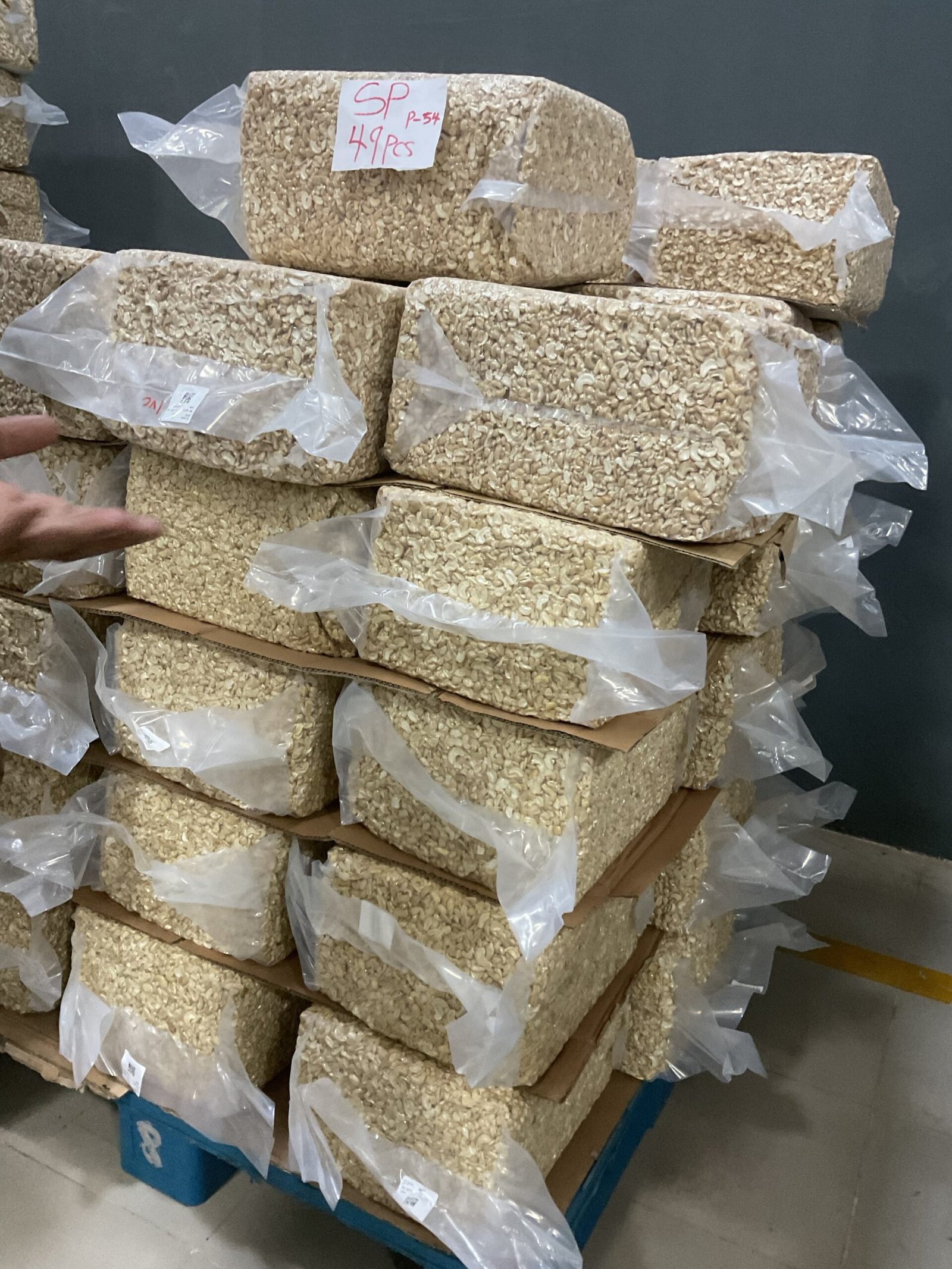 img_0642-scaled-1.jpeg ProcessedCASHEW NUTS - Image 2