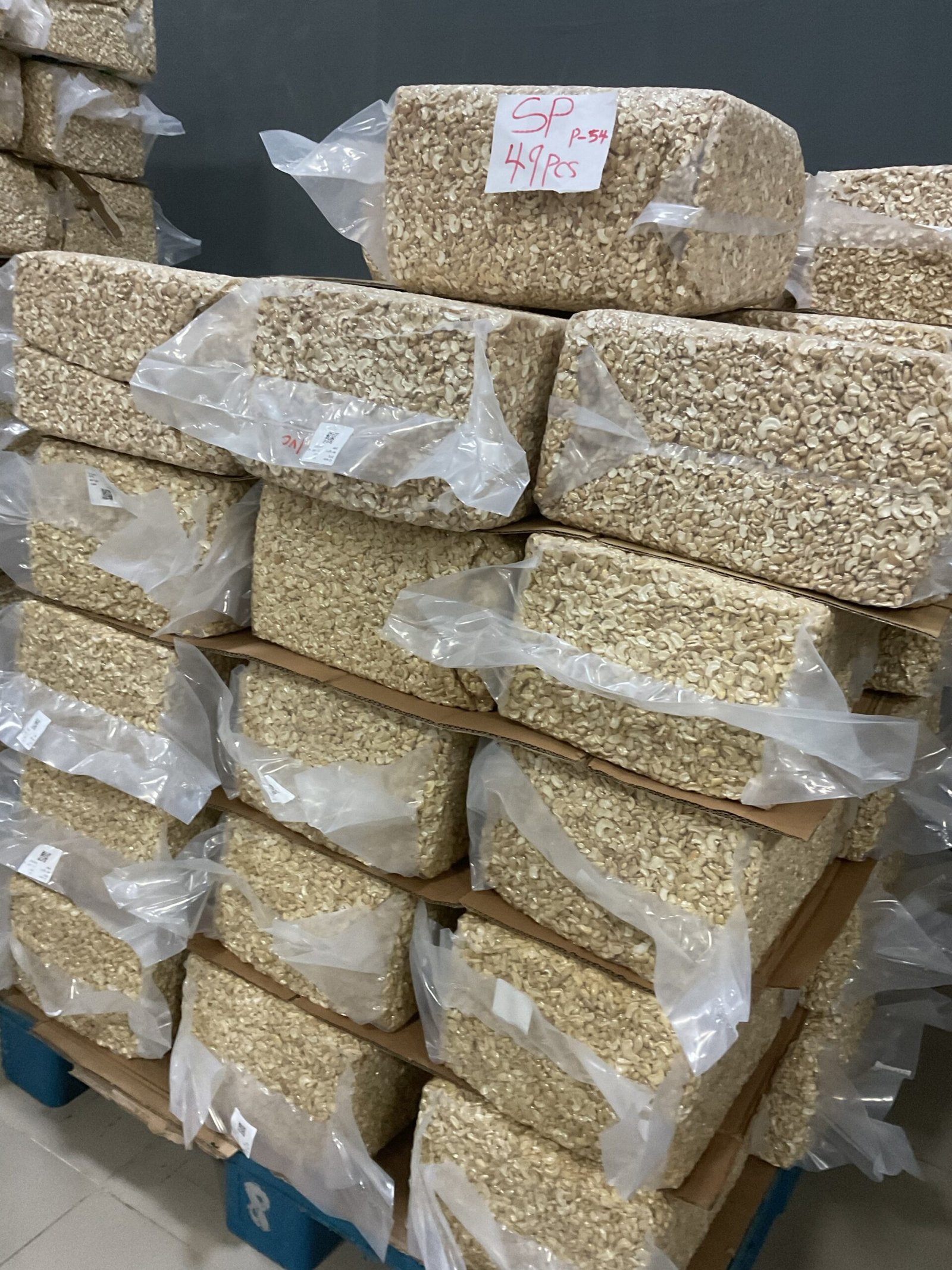 img_0643-scaled-1.jpeg ProcessedCASHEW NUTS