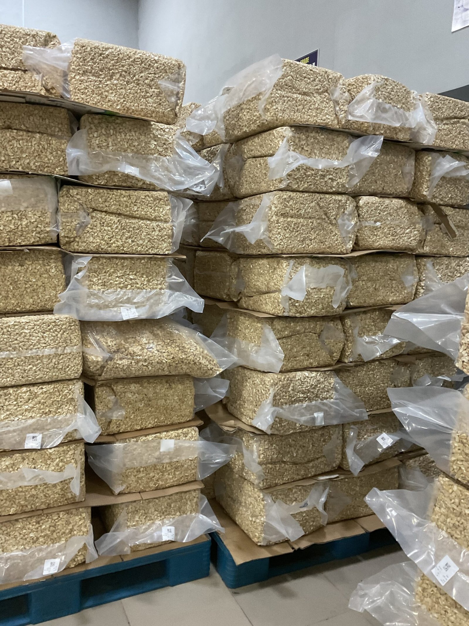 img_0644-scaled-1.jpeg ProcessedCASHEW NUTS - Image 4