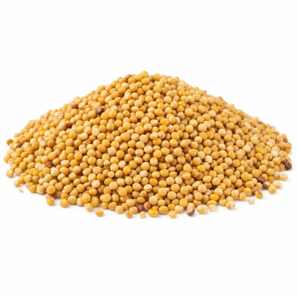 img_1593.jpeg YELLOW MUSTARD SEED