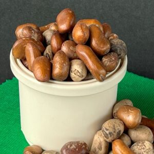 Ehuru calabash nut meg