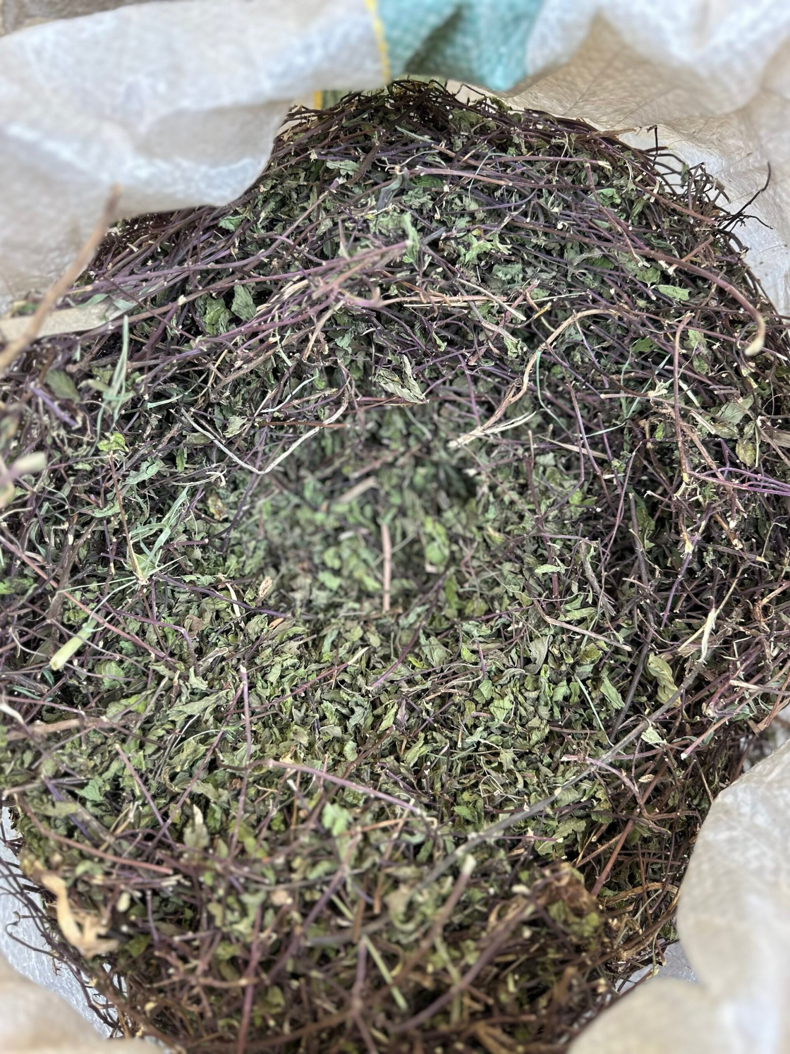 img_9519-scaled-1.jpeg Dry Mint Leaves - Image 2