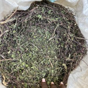 Dry Mint Leaves